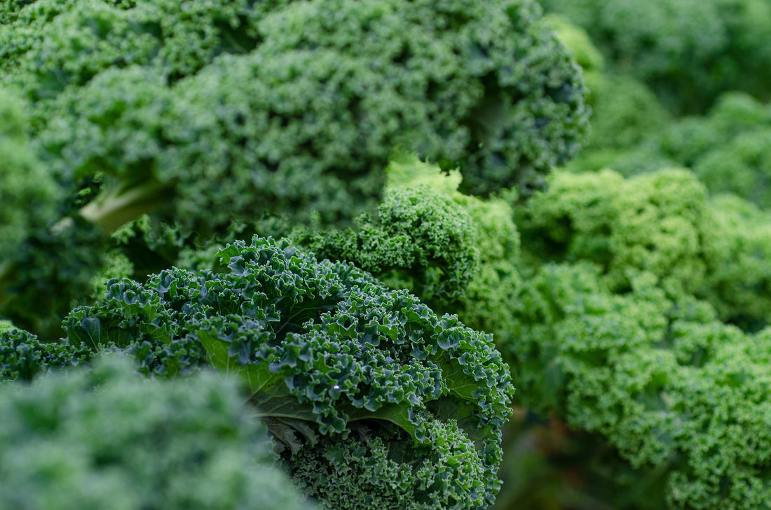 Kale is NOT a Superfood
