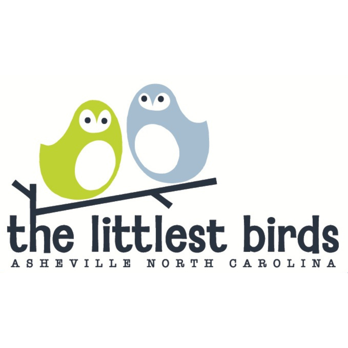 Find Naturally Connected Life's grass-fed beef tallow skincare products at The Littlest Birds in Asheville Mall in Asheville, NC for natural skincare for kids and mamas